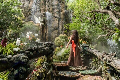Visite d'une journée des temples de Chiang Mai à Chiang Rai et du café Lalita