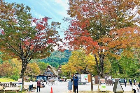 Nagoya Shirakawago and Takayama One Day Tour