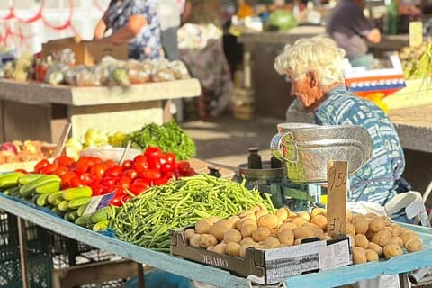 Food, walks & talks - The highlights of Split