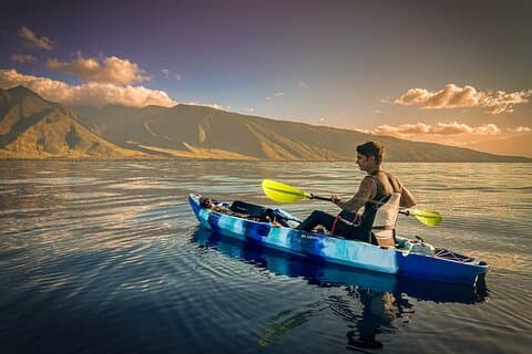 Golden Hour Turtle Town Experience: Snorkel And Humpbacks