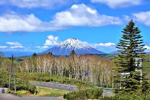 Nationalparksdagsvandring från Sapporo med privatbil