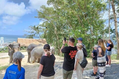 Visite guidée de Phuket au sanctuaire des éléphants avec transferts à l'hôtel