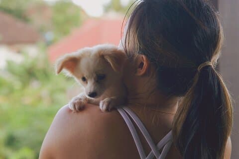Puppy Yoga Bali, Ubud - No1 Cosa fare a Bali