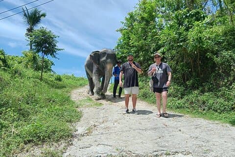 Patong Highlight Elephant Sanctuary met gidstour