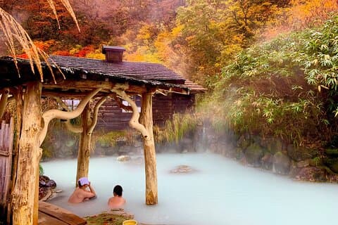 Excursión de un día en grupo a Fuji/Hakone - Onsen y Naturaleza - Desde Tokio