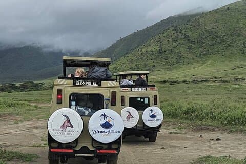 5 dage flyve i Safari Serengeti migration