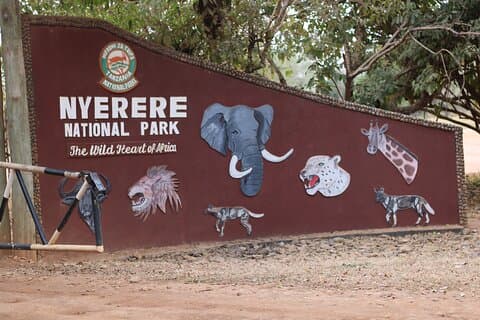 8 - Tagessafari in Nyerere Mikumi Ruaha Parks