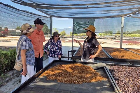 Signature Coffee Tour: Milling Process, Cupping & Alquimia Café