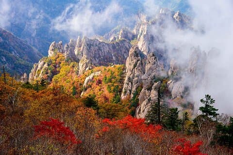 [Autumn] Mt. Seorak & Flower Festival | Depart From Seoul