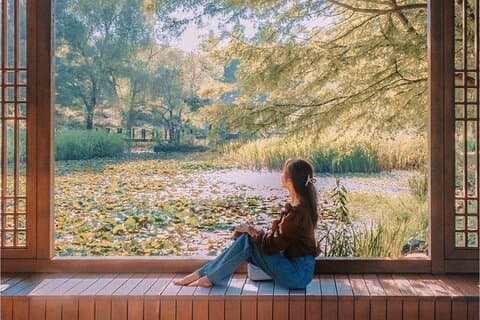 Villaggio e arboreto di Jeonju Hanok con festival dei fiori stagionali