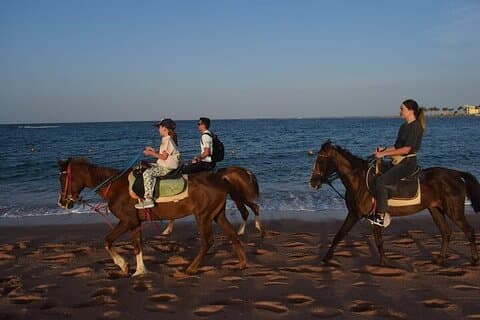 Sunrise Horse Ride 2 - Hora do Deserto e do Mar com Transferência – Hurghada