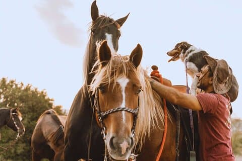 2-hour Horseback Ride in the Furlo Nature Reserve in Urbino
