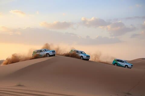 Dubai Heldagstur i Combo City och Desert Safari med grillmiddag