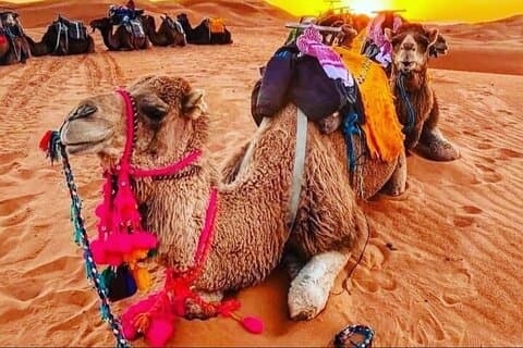 3-tägige Tour von Marrakesch nach Merzouga Wüste