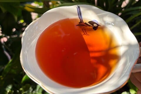 Læs anmeldelser af Ya'an Tea Horse Road Immersion | Tea Culture Lunch