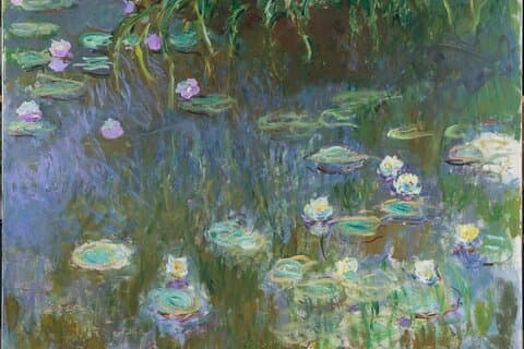 Art Gallery of SA Exhibition: Monet to Matisse: Defying Tradition