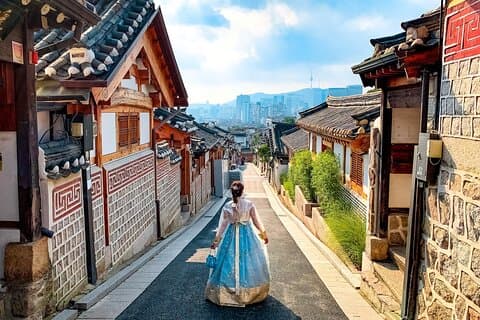 Seoul Höjdpunkt Heldags anpassningsbar privat rundtur