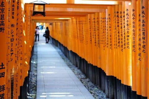 Escursione privata a terra: i punti salienti di Kyoto dal porto di Osaka/Kobe