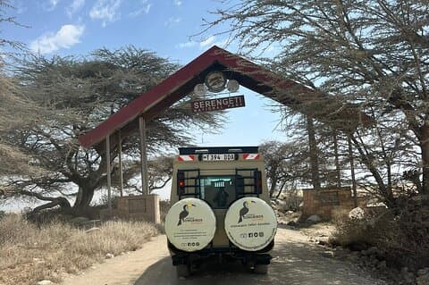 7 - Giorno Big Five & Grande Migrazione: Safari classico Tanzania.