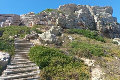 Cape of Good Hope og Boulders Beach Penguins