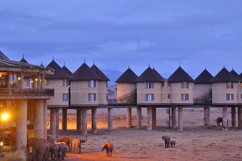 2 DAGER SALTLICK SAFARI (mindst 2 personer)