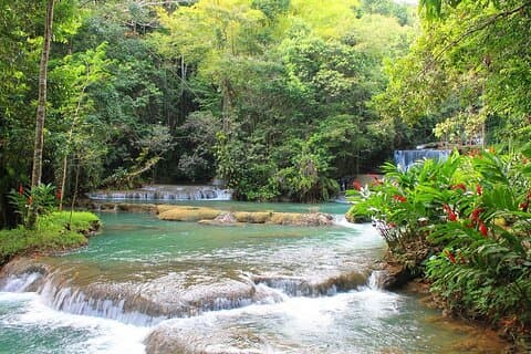 YS Falls und Black River Safari Südküste von Negril Jamaica