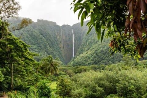 VIP Private Limousinentour : Malerische Oahu Insel Stätten