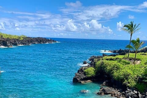 Visite de la forêt tropicale à Hana et au-delà