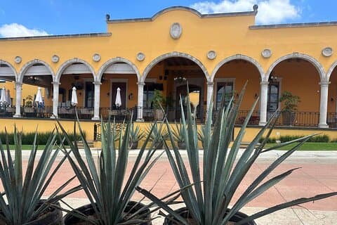 Segredos em Los Altos del Tequila