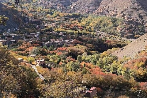 Marrakech to Atlas Mountains: Private Day Trip Berber Experience