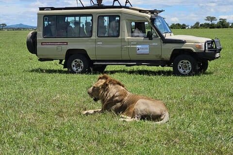 8 dias Mid Range Safari de florestas para a frente de migração