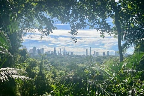 The Panama City: Hike & Sights Privat tur