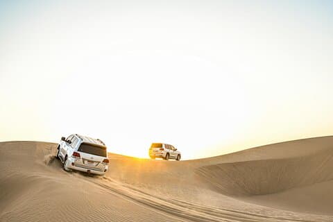 Qatar Desert Safari Adventure Experience.