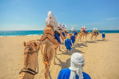Camel Ride in Los Cabos with Buffet Food and Beer