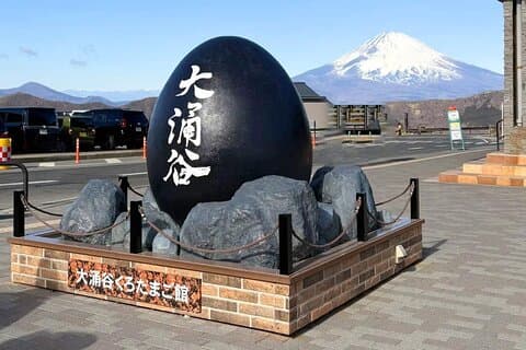 Monte Fuji e Hakone Excursão de um dia com Ropeway Ride