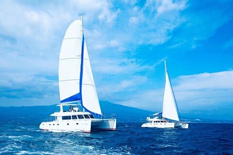 Small Group Tour in South Jeju including Yacht, Falls & Mt.Halla