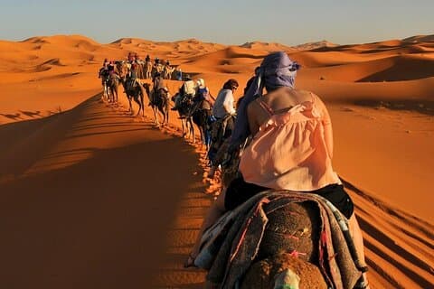 Agadir : El Borj 2 - Day Desert Magic