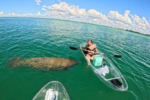 3 Hour Clear Kayak Beach Hopping Adventure in Sarasota