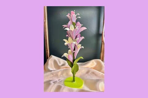 Taller de Artes y Oficios de Flor Silvestre en Denver
