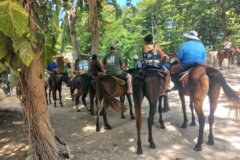Hest tilbage ridning i Ocho Rios