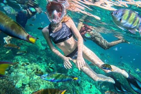 7 Islands 8 Spots Far Away Longtail Boat Snorkeling Tour