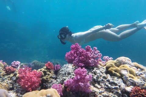 Snorkeling + Free Underwater Photos by Longtail Boat – Koh Lipe A