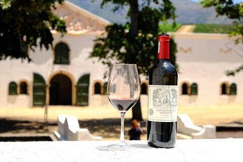 Cidade do Cabo : Paw & Pour Stellenbosch Wine & Wildlife Tour Privado