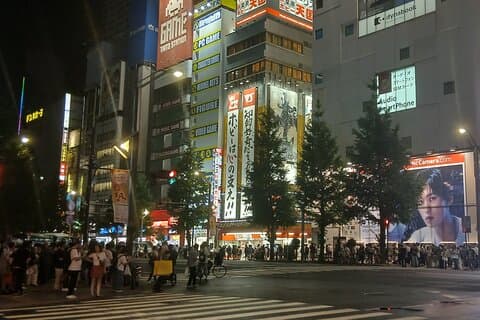 Tokyo Downtown Akihabara Tour And Dinner Party Adults Only