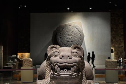 Antropologiska museet och Chapultepec slott med specialister