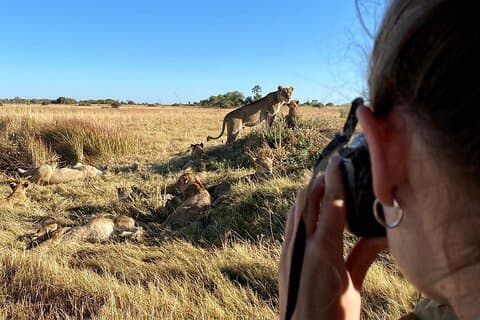 13-tägiger WILDNISWEG: Best Of Northern Botswana - WildCamping + Victoria Falls