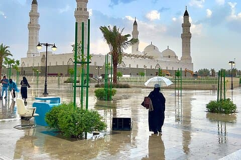 Luoghi sacri di Madinah Tour di mezza giornata di Ziarah