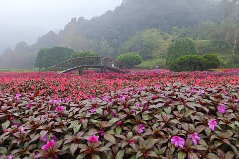 Private Doi Inthanon National Park Full Day Tour