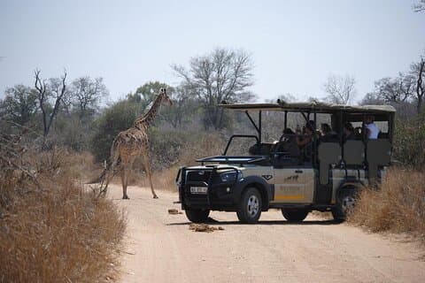 Hoedspruit Kruger National Park Full Day Safari Tour
