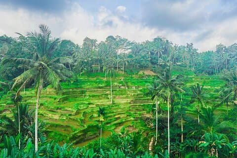 Ubud Natura, Arte e Esperienza - Personalizza Tour Privato